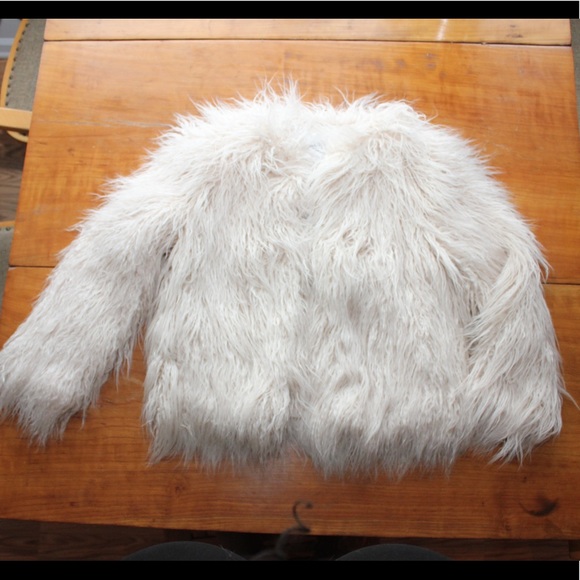 Zara Super Plush Pale Pink Cropped Coat PRICE FIRM - Picture 6 of 8