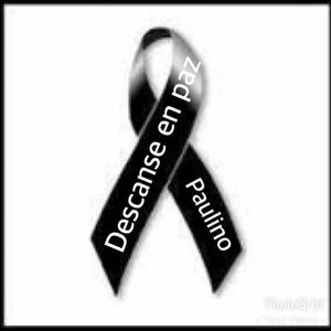 Meet your Posher, Javier