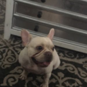 Meet your Posher, Christy