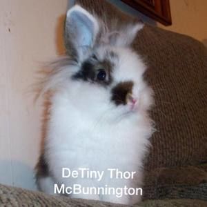 Meet your Posher, Laray