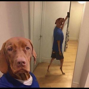 Meet your Posher, Jeffrey