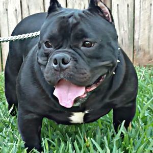 Meet your Posher, Rick