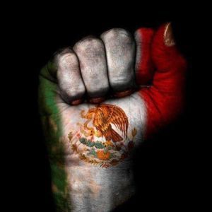 Meet your Posher, Edgar