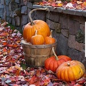 Meet your Posher, Mya