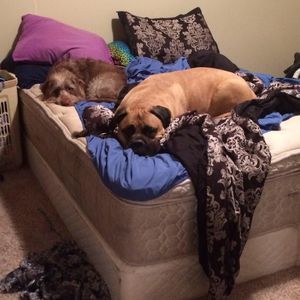 Meet your Posher, Robin