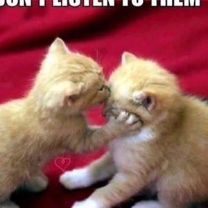 Meet your Posher, Isam