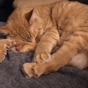 Meet your Posher, Azure