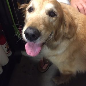 Meet your Posher, Cherie