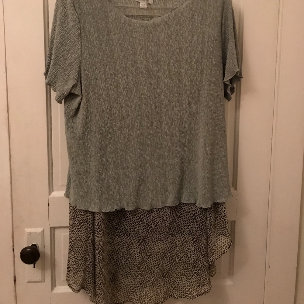 Plus size women’s two piece skirt/top