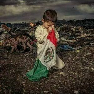 Meet your Posher, Dulce