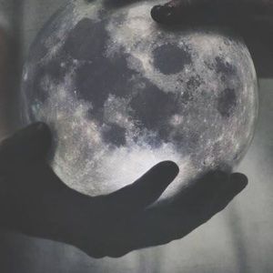 Meet your Posher, Zoë