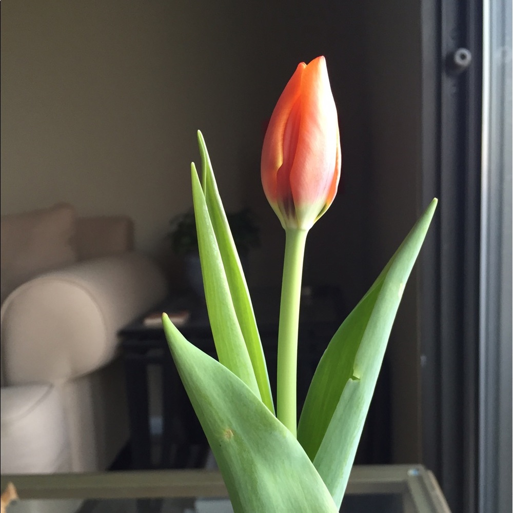 Meet your Posher, Sam