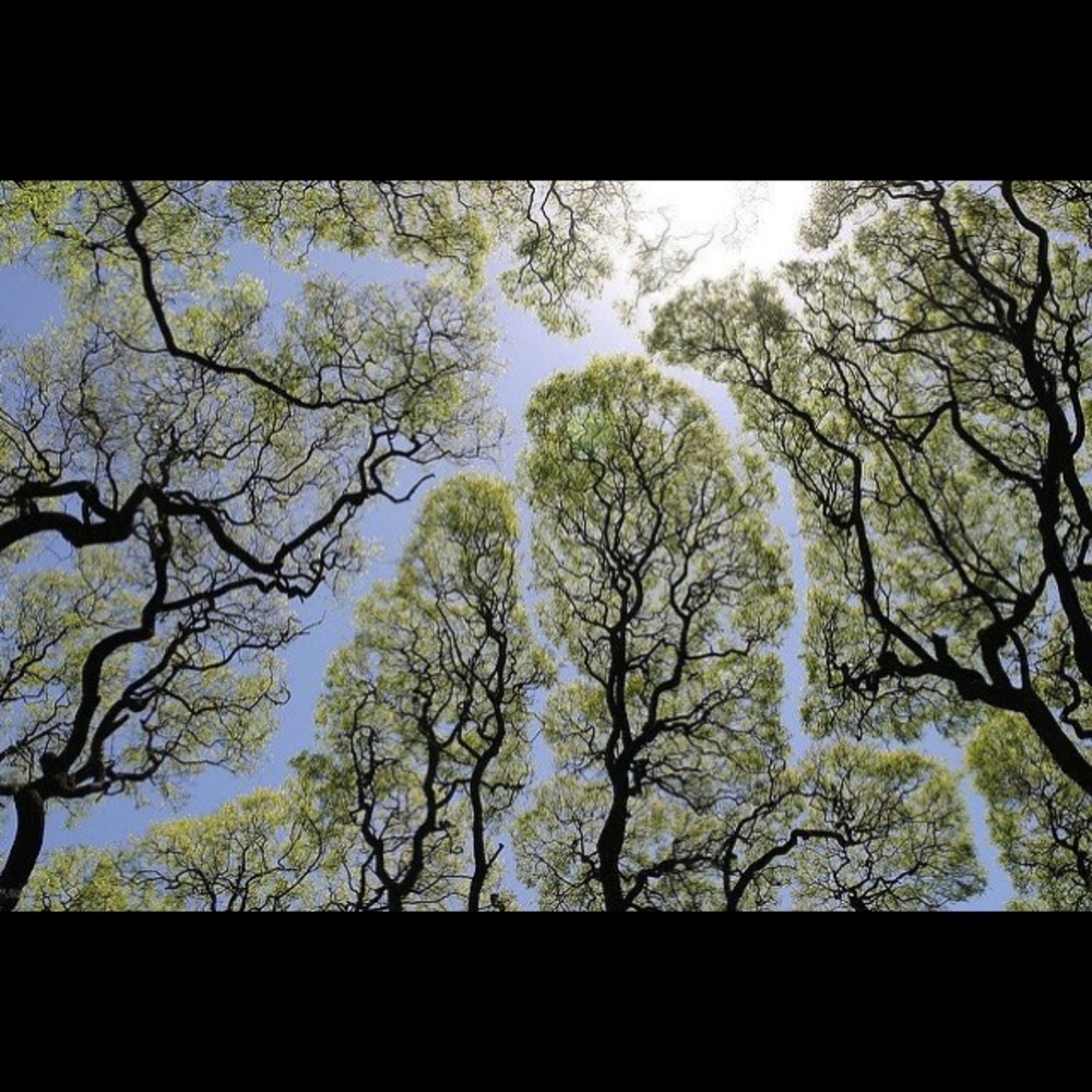 Meet your Posher, Krystal