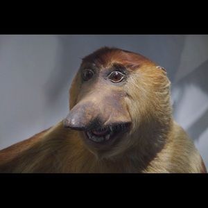 Meet your Posher, Caleb