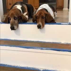 Meet your Posher, Kristina