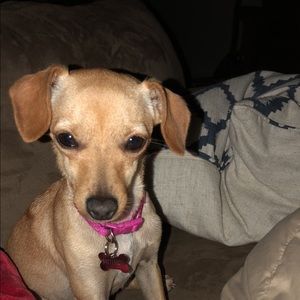 Meet your Posher, Maggie