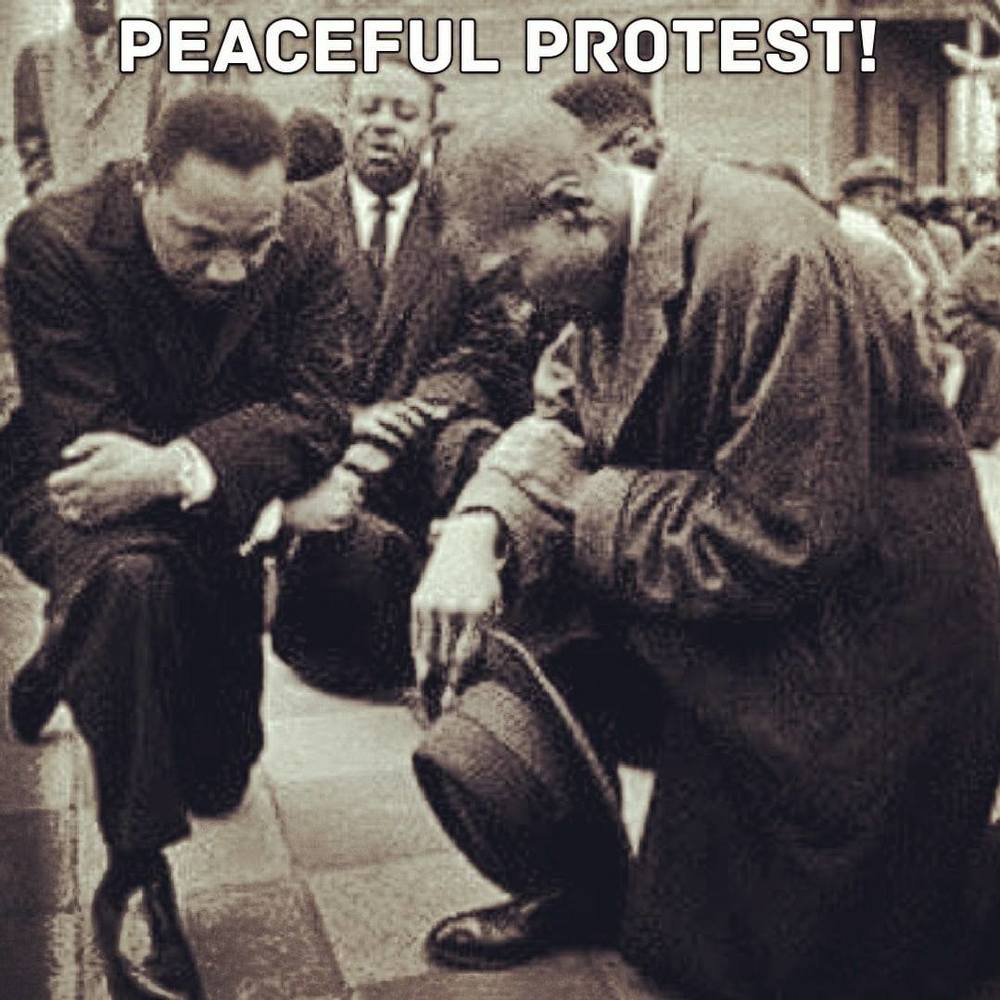 Meet your Posher, Marcia