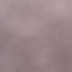 Meet your Posher, Rocio