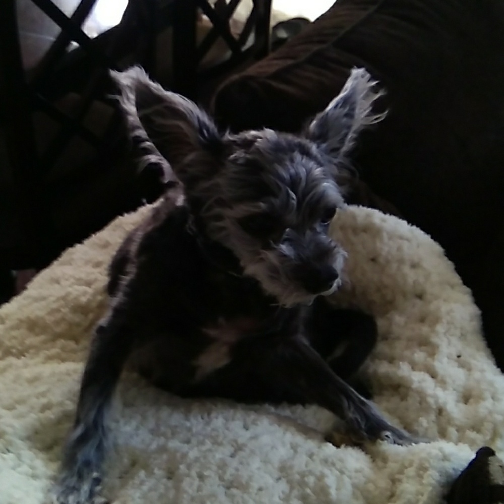 Meet your Posher, Rebecca