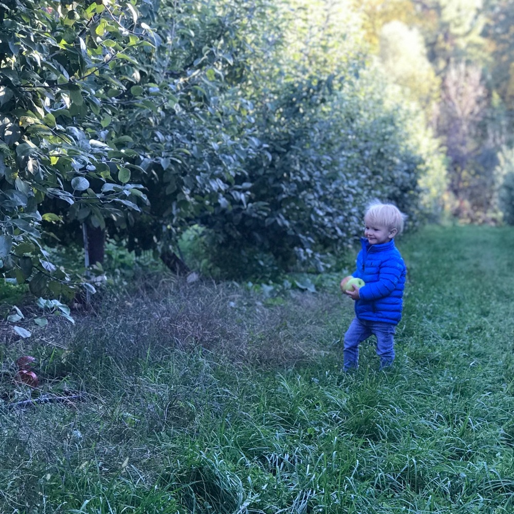 Meet your Posher, Gary