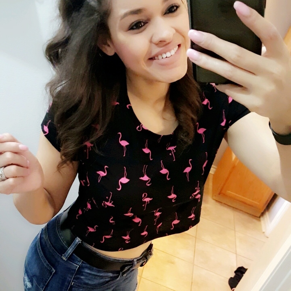 🔴SOLD🔴Fun Pink flamingo crop top