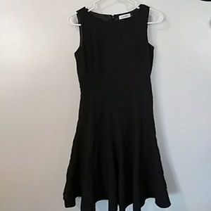 Fit and Flare professional dress