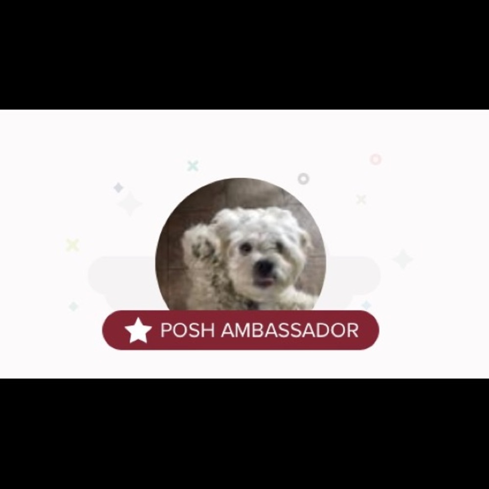 🎈🎈🎈🎈YAY!!!   We are a Poshmark Ambassador!!!🎈
