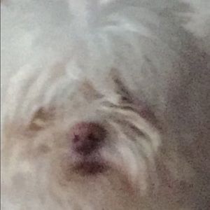 Meet your Posher, Rick