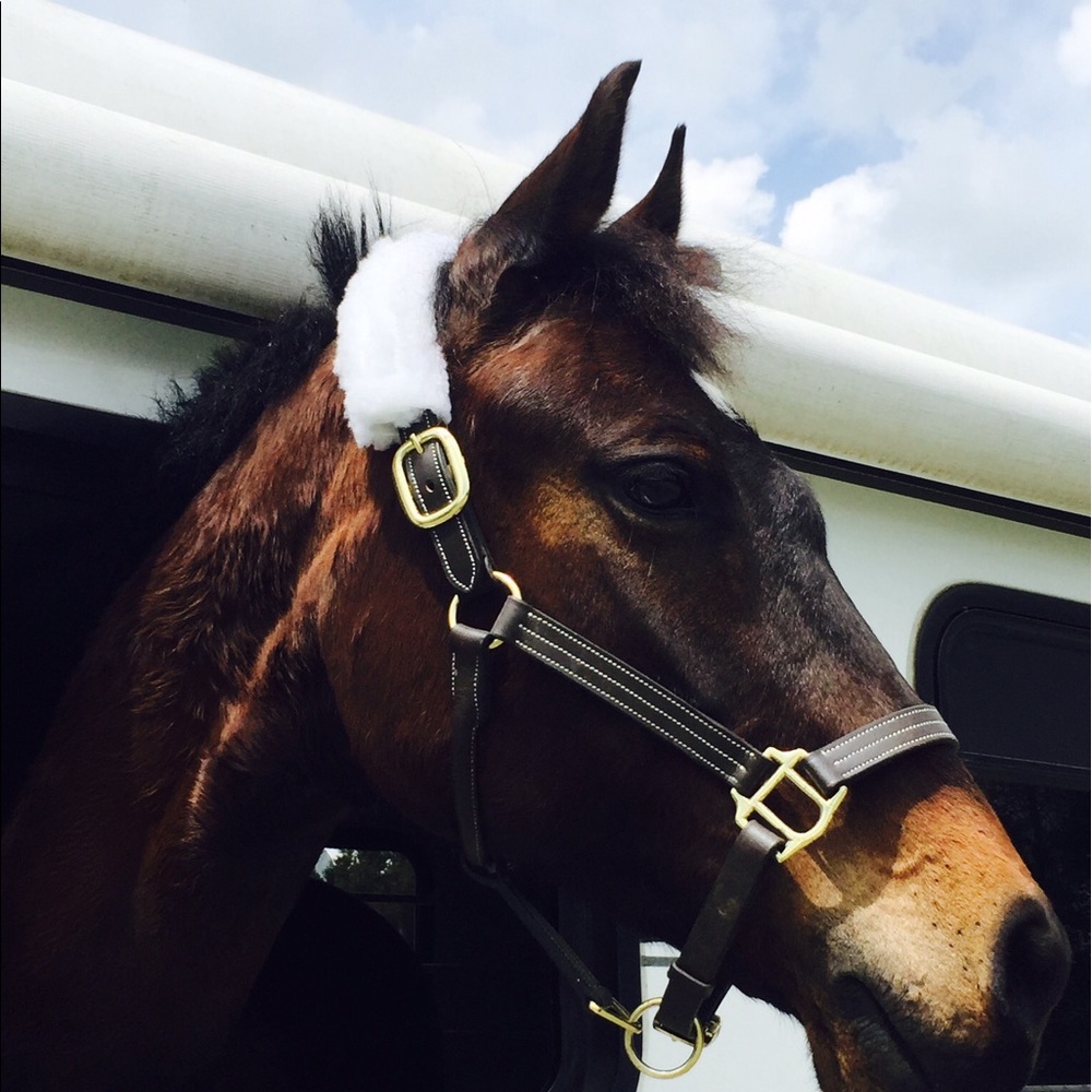 Meet your Posher, Lyn