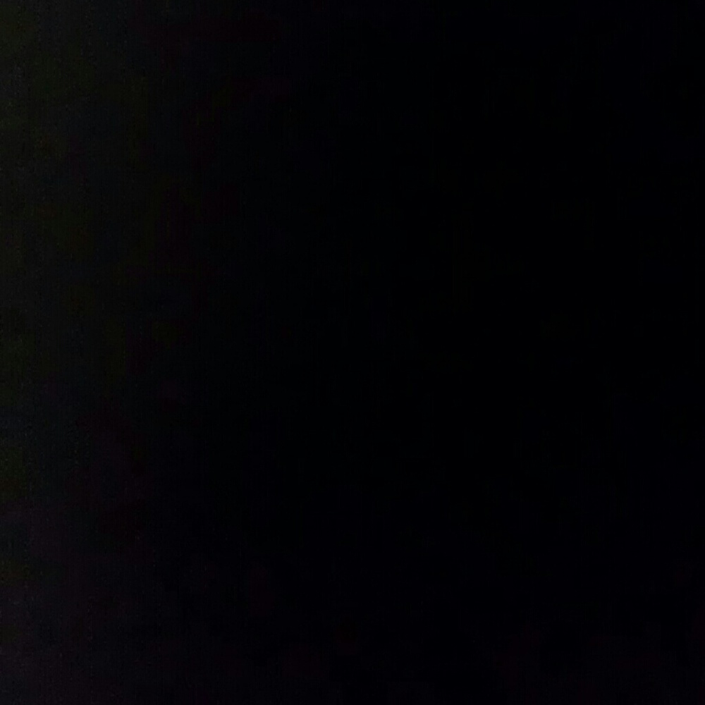 Meet your Posher, Abbie