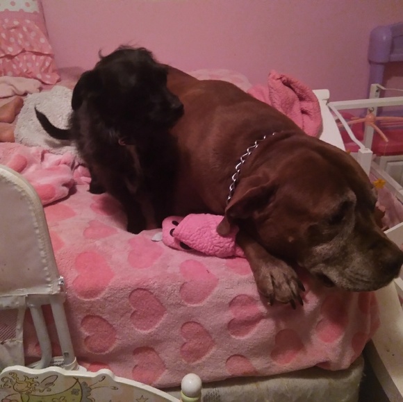 Meet your Posher, Endless Heirlooms - Picture 5 of 6