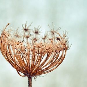 Meet your Posher, Dorianne