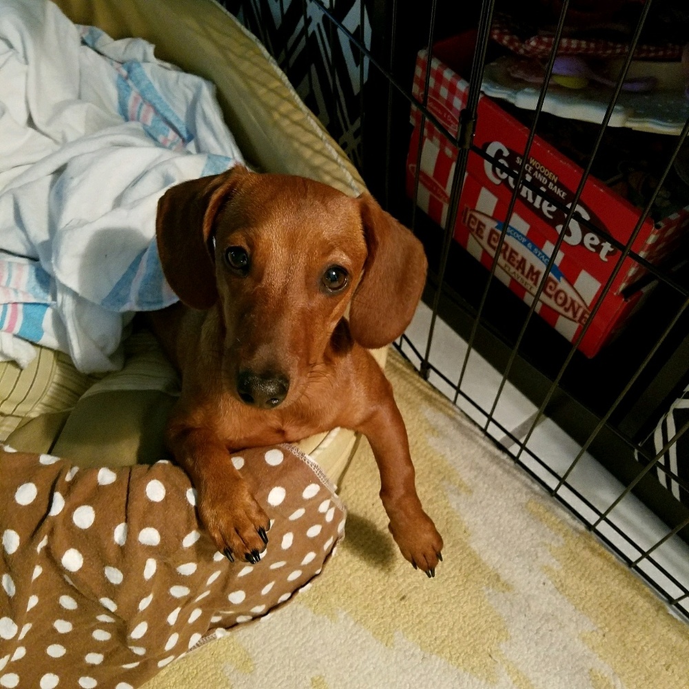 Meet your Posher, Stacie