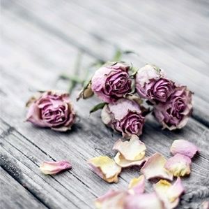 Meet your Posher, Johana