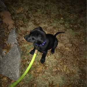 Meet your Posher, Tim