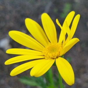 Meet your Posher, Ze