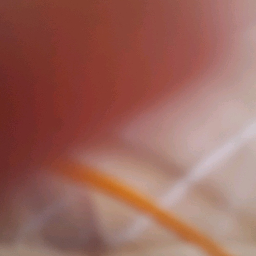 Meet your Posher, Miguel