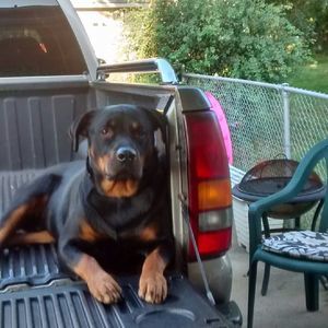 Meet your Posher, Bobby