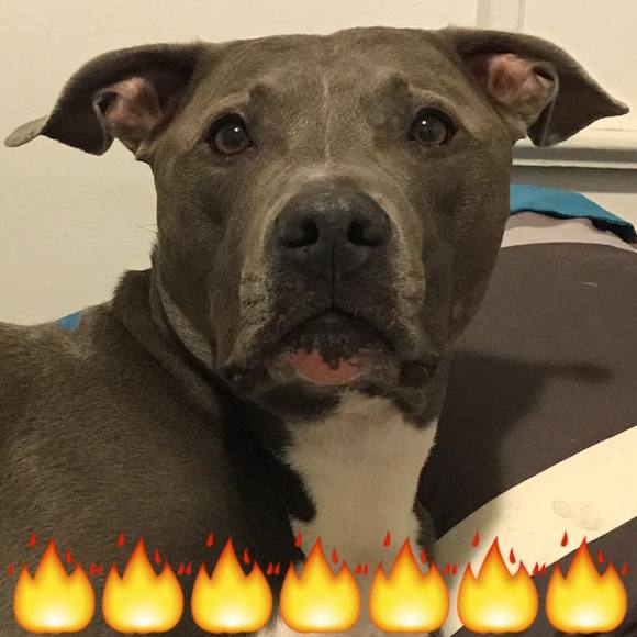 Meet your Posher, Gianne - Picture 2 of 2