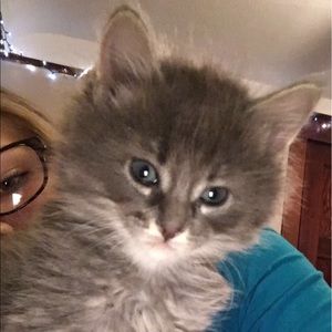 Meet your Posher, Emma