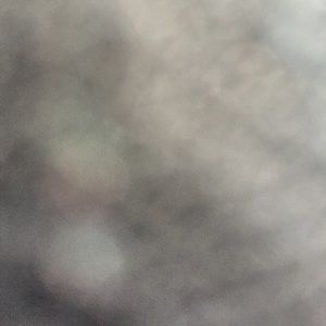 Meet your Posher, Alice