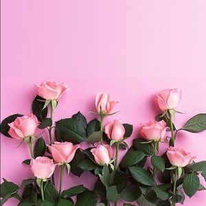 Meet your Posher, Nofa