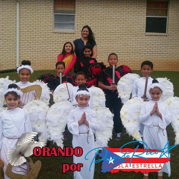 Meet your Posher, Greis - Picture 1 of 1