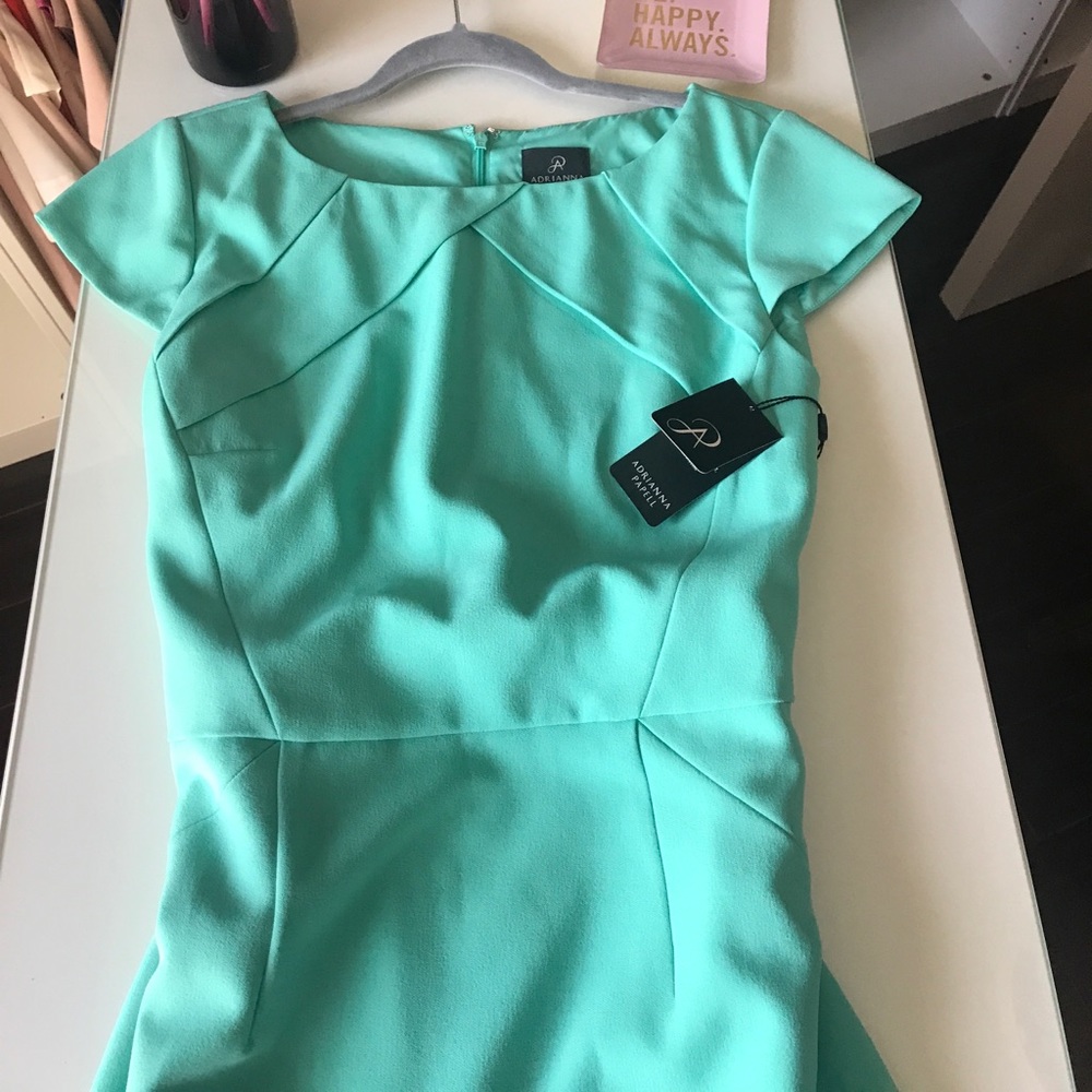 Adrianna Papell MINT Color Dress Brand New W Tags