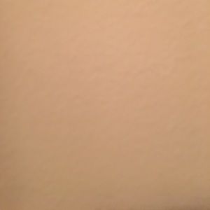 Meet your Posher, Julisa