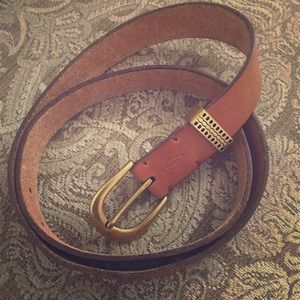 Fossil belt