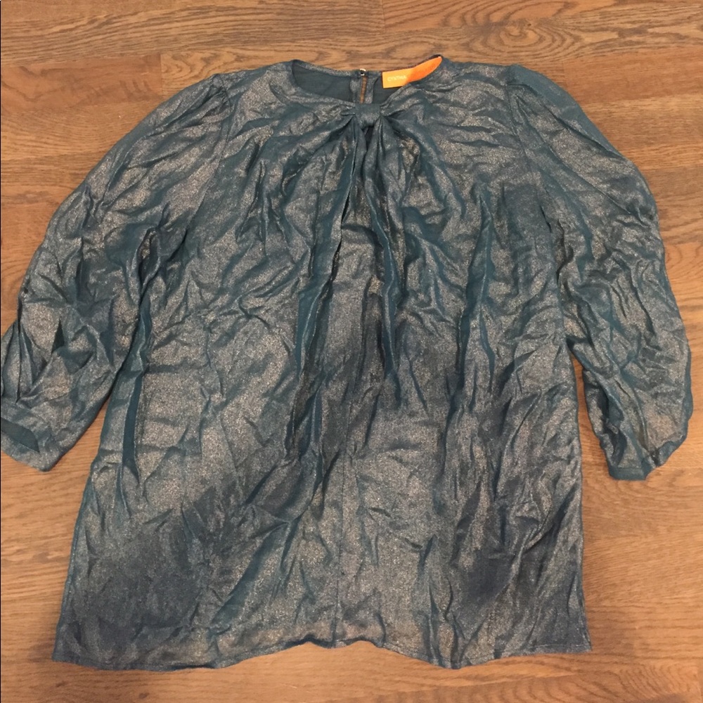Metallic Cynthia Steffe top