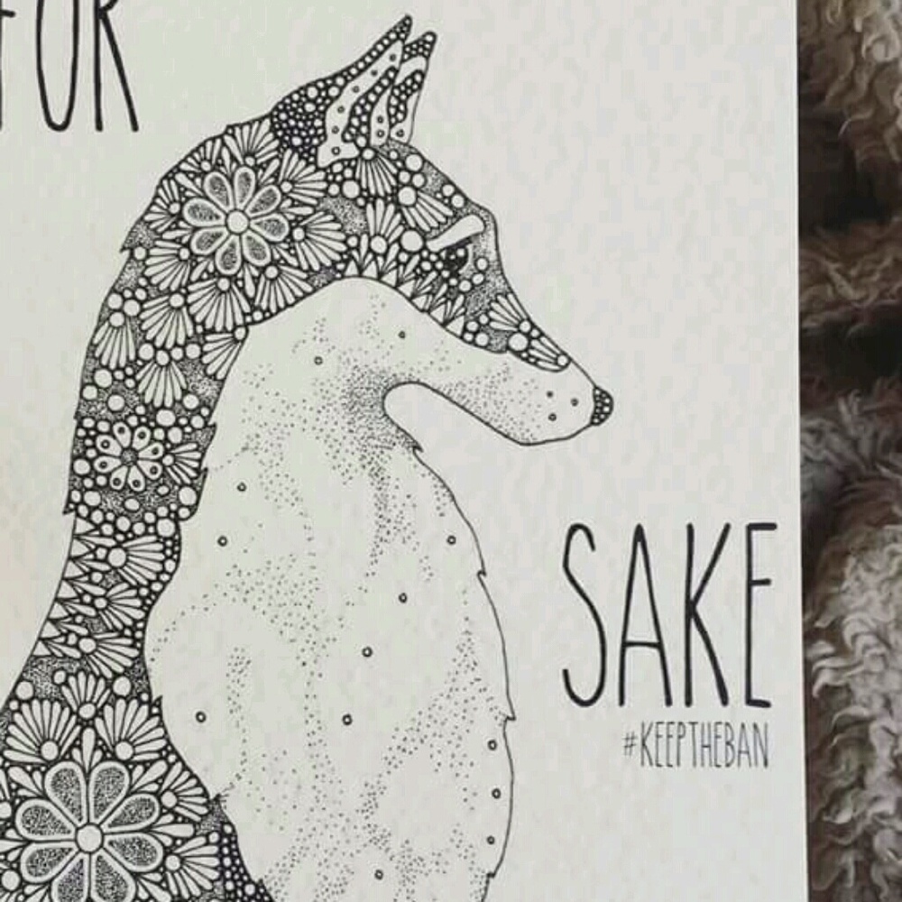 Meet your Posher, Chantel