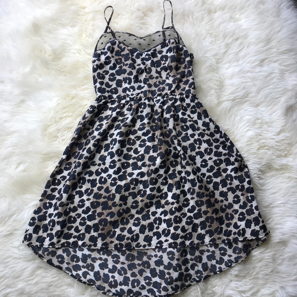Cheetah Print Dress!