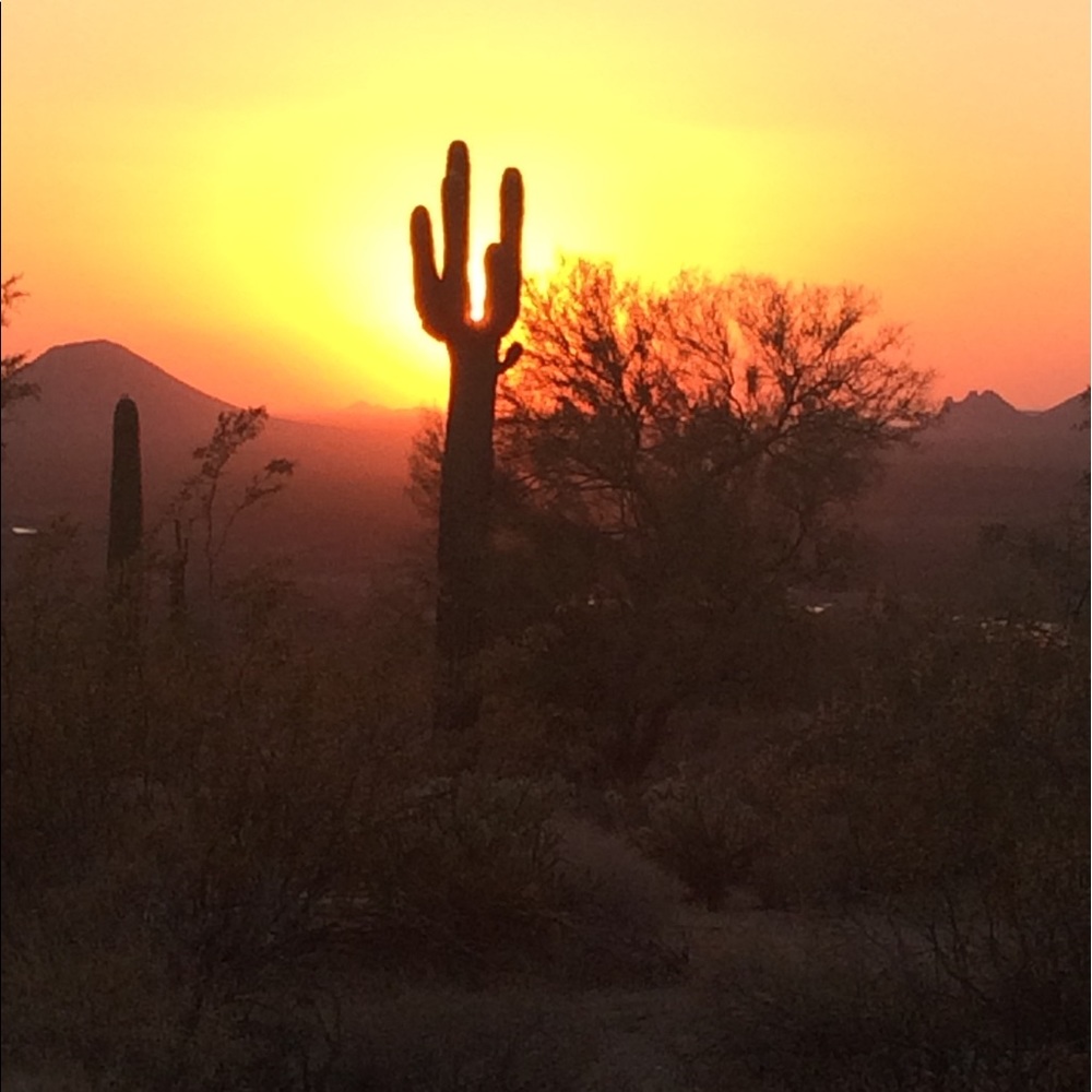 Meet your Posher, Tracy